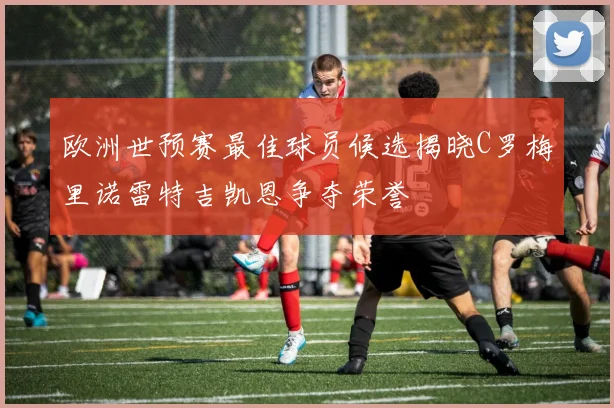 欧洲世预赛最佳球员候选揭晓C罗梅里诺雷特吉凯恩争夺荣誉