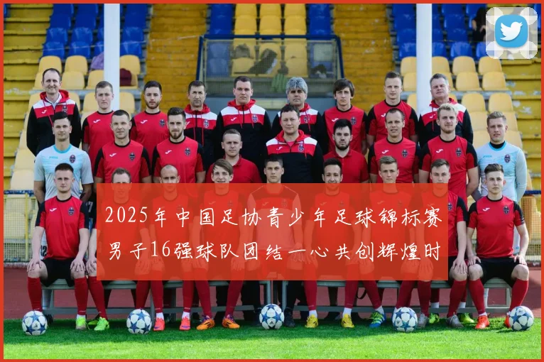 2025年中国足协青少年足球锦标赛男子16强球队团结一心共创辉煌时刻
