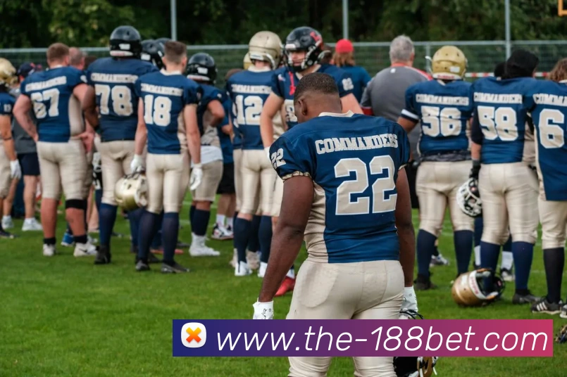 188bet平台生态图